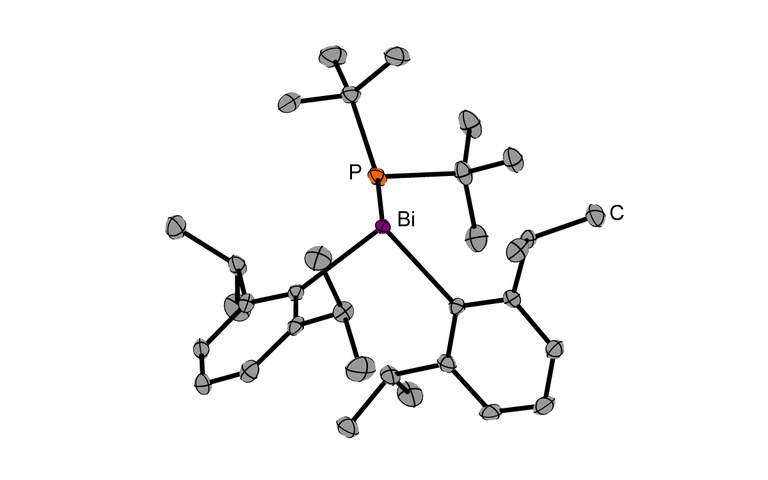 Dipp2Bi-PtBu2