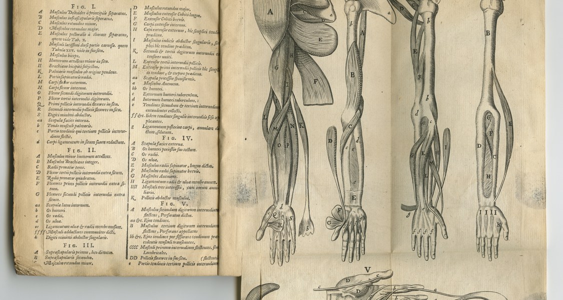 Seiten aus einer alten Zeitschrift mit anatomischen Zeichnungen