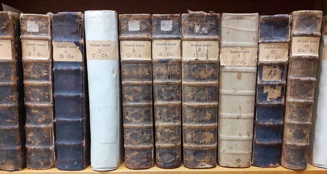 Blick in ein Regal einer Bibliothek. ES sind die Buchrücken alter Bände zu sehen.