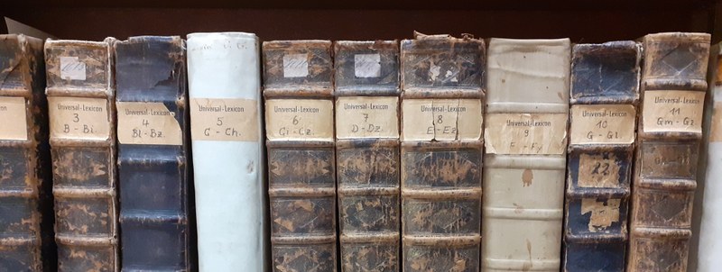 Blick in ein Bücherregal. Zu sehen ist die obere Hälfte einer Reihe alter Bücher.