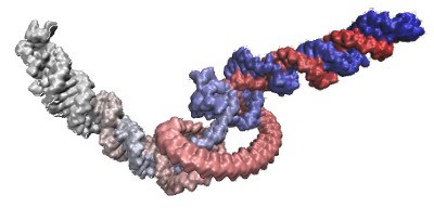 6S RNA 3D