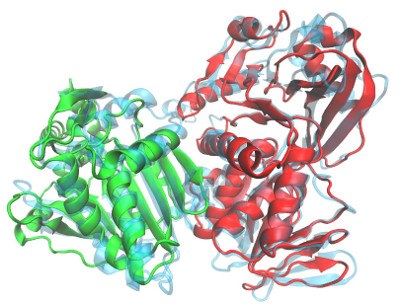 Fusioniertes Protein