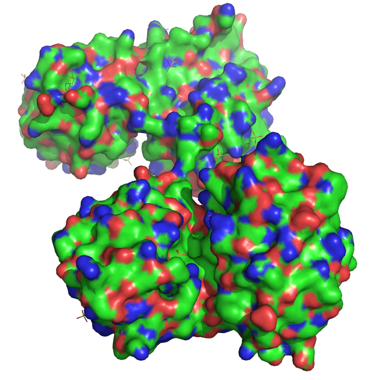 RNase P Protein von Thermotoga maritima