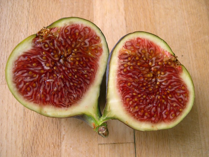 Ficus carica, die Ess-Feige, aufgeschnitten