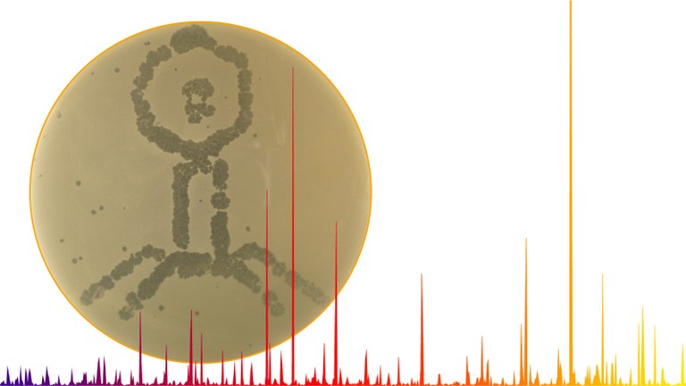 Phage