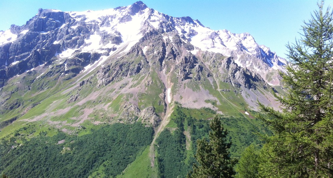 Alpine treeline near the Lautaret pass, French Alps