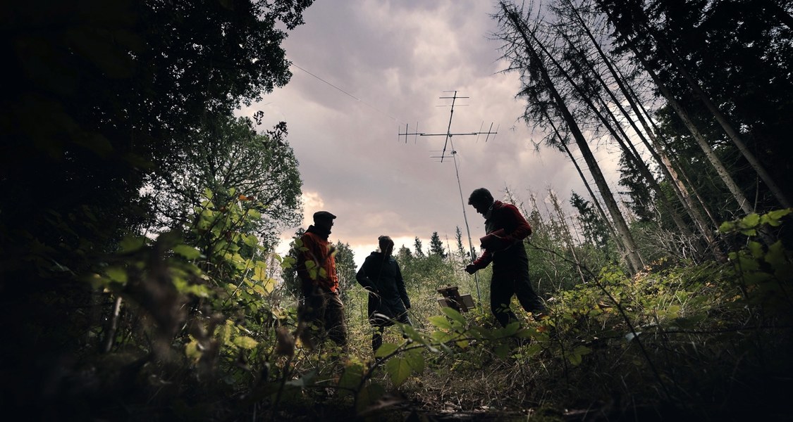 Drei Personen im Wald vor einer Antenne. Foto aus dem Natur 4.0-Projekt.