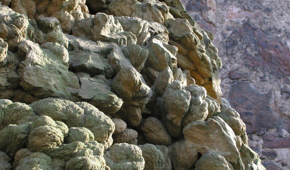 Die große Sandrose vor dem Mineralogischen Museum