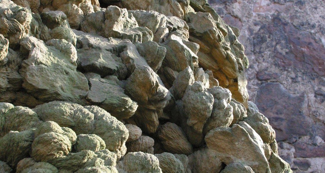 Die große Sandrose vor dem Mineralogischen Museum
