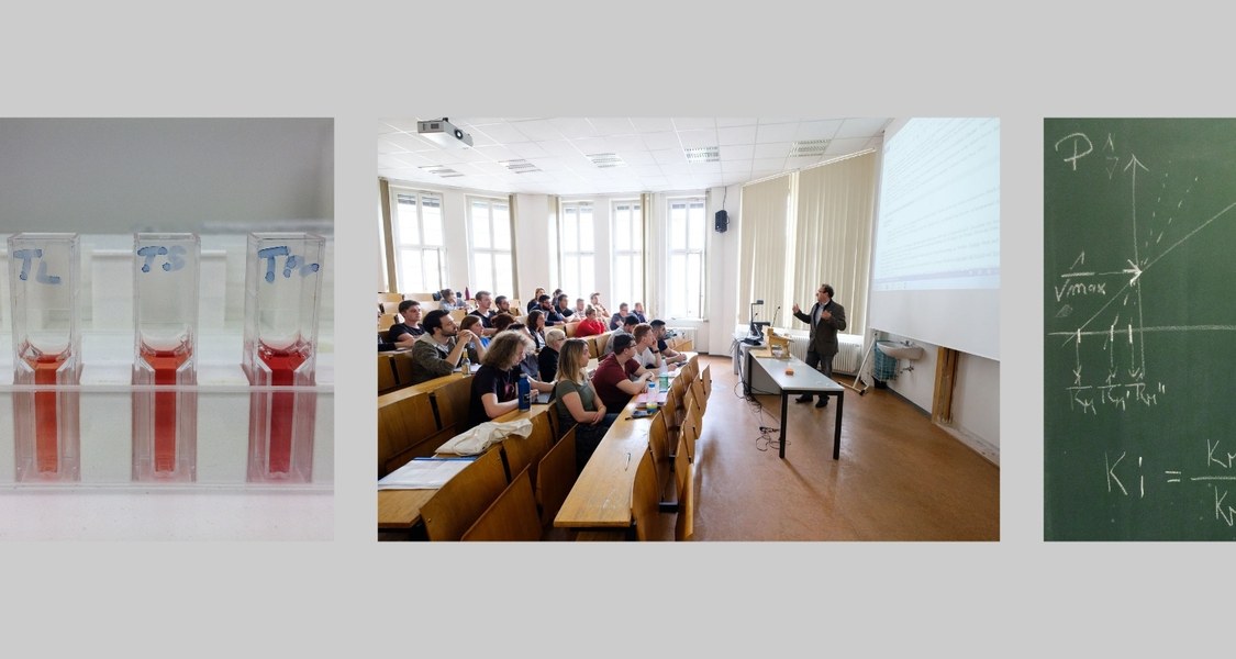 Verschiedene Szenen aus Praktika und Vorlesung
