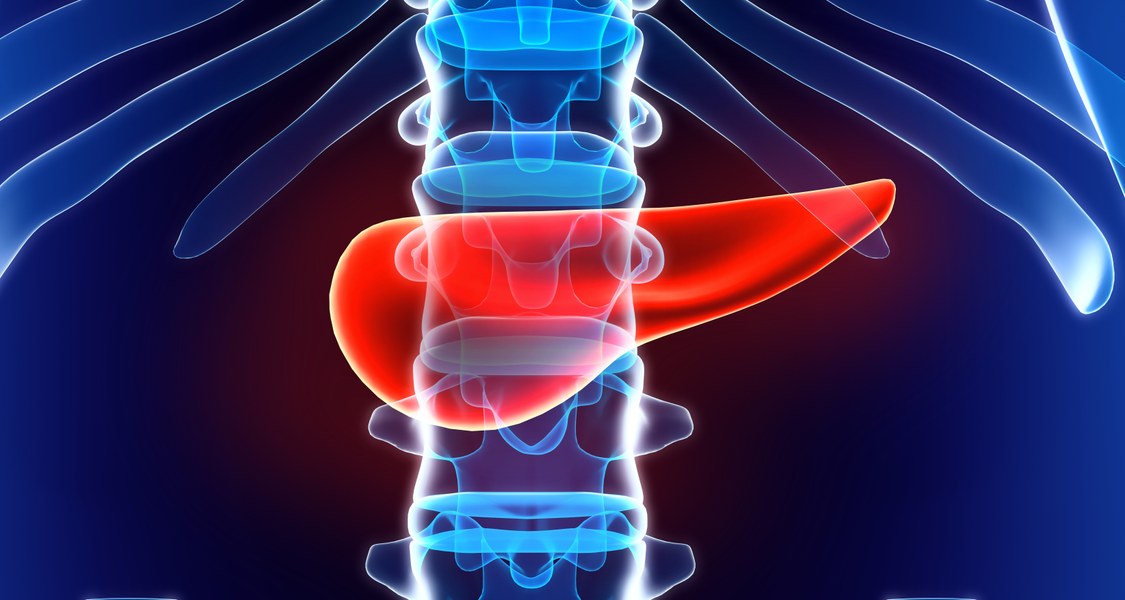 3D illustration of Pancreas