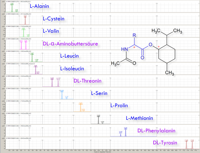 GC-MS/MS-Chromatogramm der durch die CFMS bestimmbaren D-/L-Aminosäuren