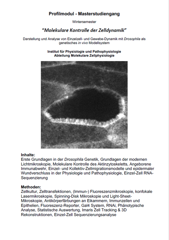 Profilmodul im Master Humanbiologie