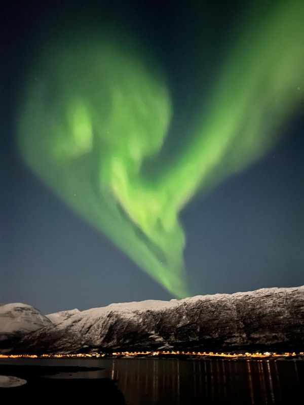 Grüne Polarlichter am Nachthimmel