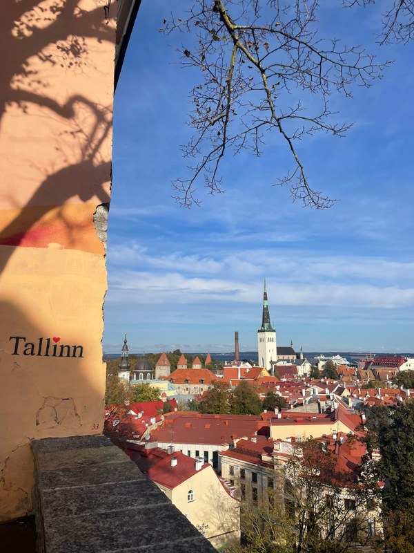 Die Stadt Talinn