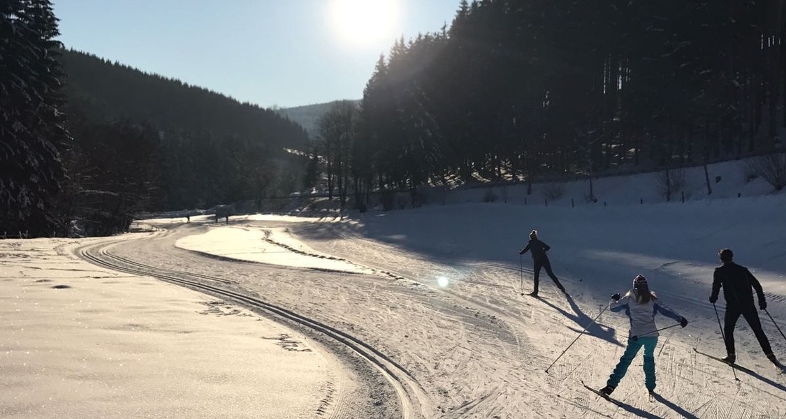 Sportler auf der Loipe