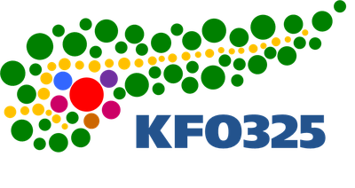 Logo: KFO 325 - Clinical relevance of tumor-microenvironment interactions in pancreatic cancer