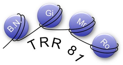 Logo: SFB/TRR 81 - Chromatin-Veränderungen in Differenzierung und Malignität