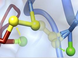 Abbildung: Logo des Schwerpunktprogramms SPP 1710 - Dynamik thiolbasierter Redoxschalter in der Zellphysiologie