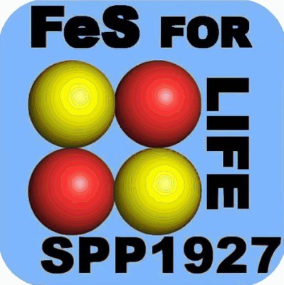 Abbildung: Logo des Schwerpunktprogrammes SPP 1927 - Iron-Sulfur for Life