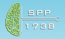Abbildung: Logo des Schwerpunktprogramms SPP 1738 - Neue Funktionen von nicht kodierenden Ribonukleinsäuren während der Entwicklung, Plastizität und Erkrankung des Nervensystems
