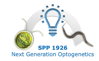 Abbildung: Logo des Schwerpunktprogramms SPP 1926 - Next Generation Optogenetics: Tool Development and Applicatio