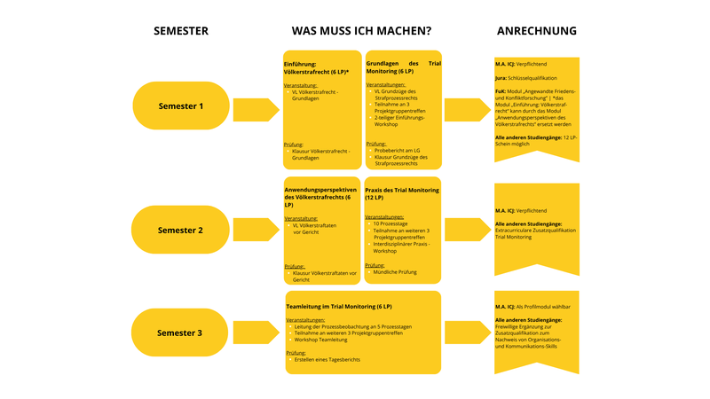 Die Grafik zeigt die Anforderungen für die Teilnahme am Trial Monitoring Programme.