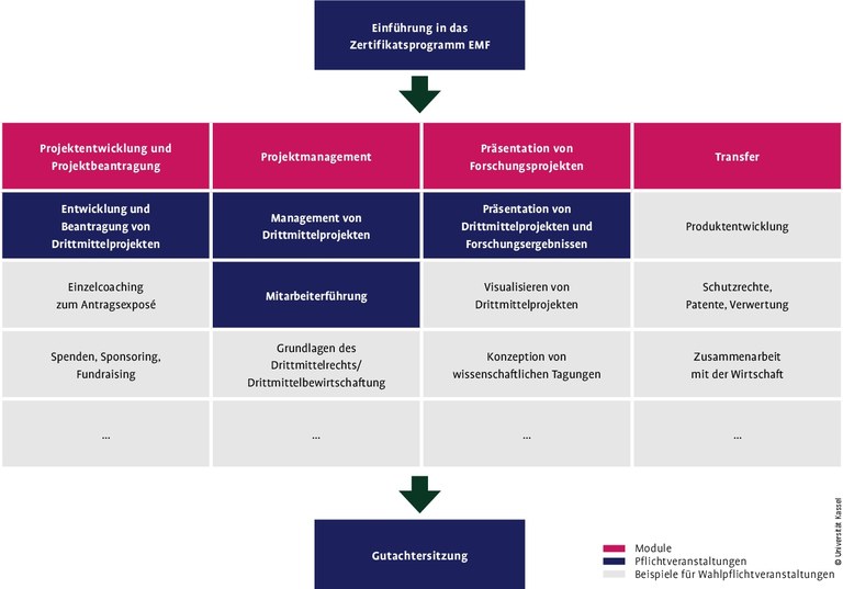 Schaubild EMF (JPG)