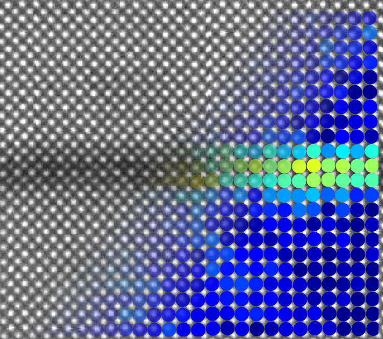 Quantitative STEM/TEM