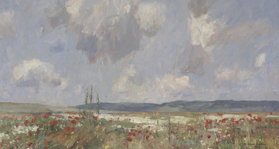 Blumenwiese mit Mohn, darüber ein Himmel mit einigen Wolken