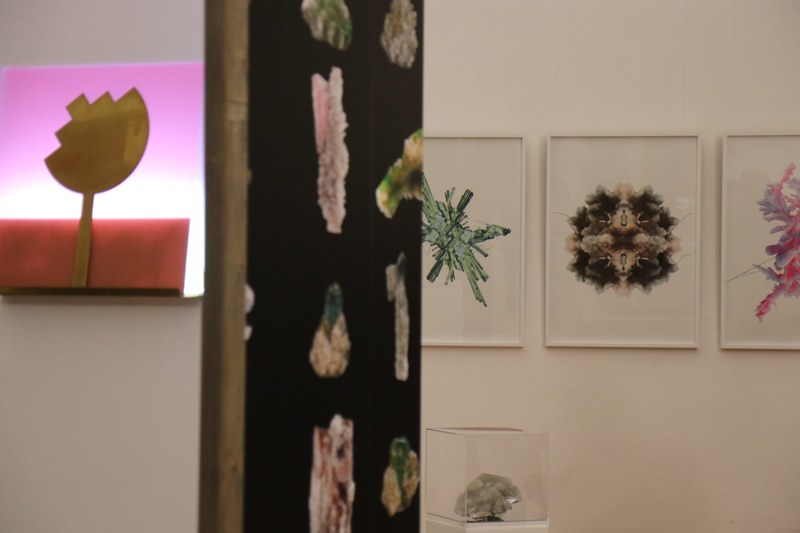 Blick in die Ausstellung im Kleinen Rittersaal. In Bilderahmen und auf Tapeten sind unterschiedliche kristalline Strukturen zu sehen.