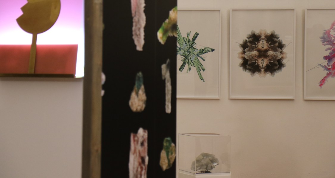 Blick in die Ausstellung im Kleinen Rittersaal. In Bilderahmen und auf Tapeten sind unterschiedliche kristalline Strukturen zu sehen.