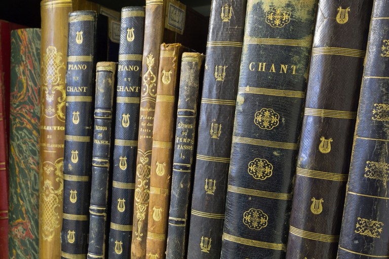Bücher des 19. Jahrhunderts mit farbigen Buchrücken in einem Regal