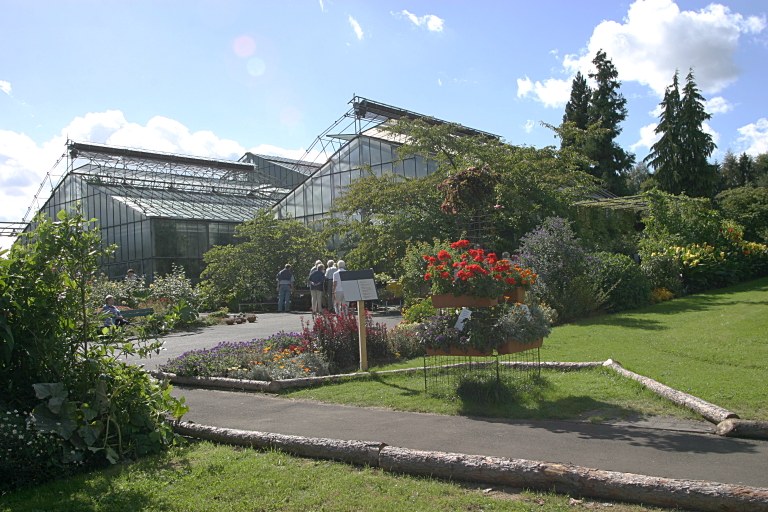 Gewächshaus inmitten einer grünen Gartenlandschaft