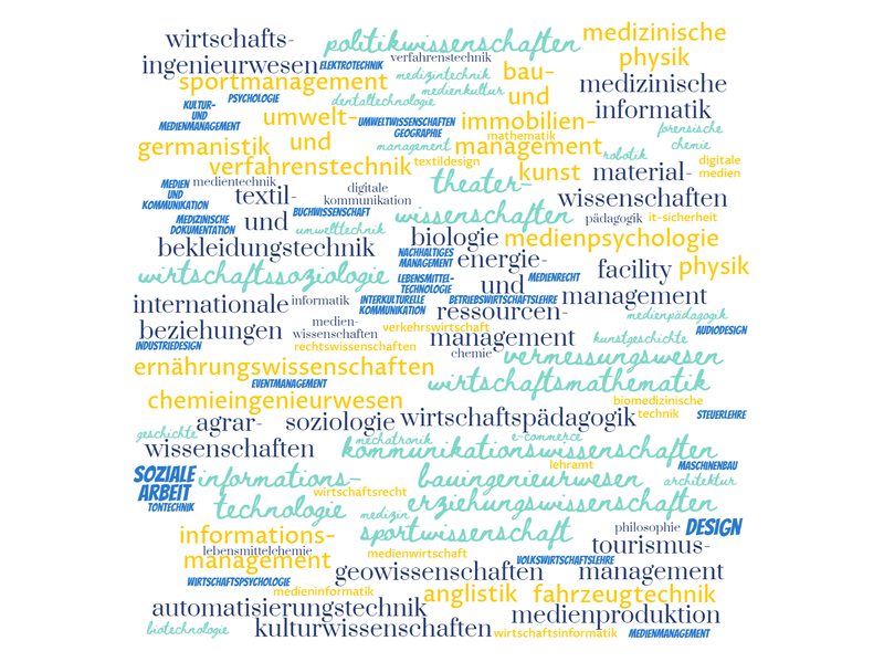 Eine Auflistung der beliebtesten Studiengänge in Deutschland als bunte Wortwolke.