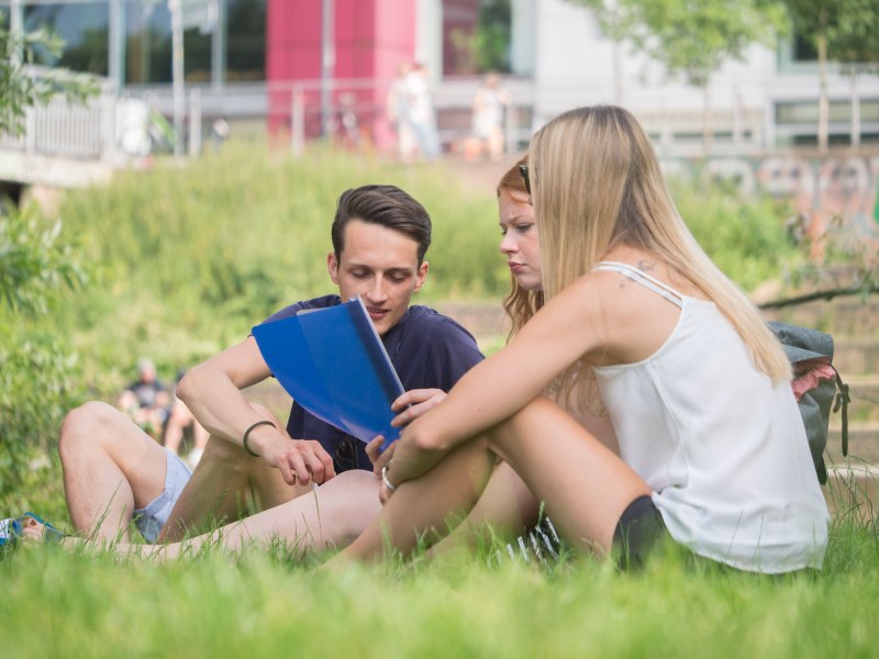 Drei Studierende sitzen vor der Mensa Erlenring auf einer grünen Wiesen und betrachten gemeinsam Lernunterlagen.
