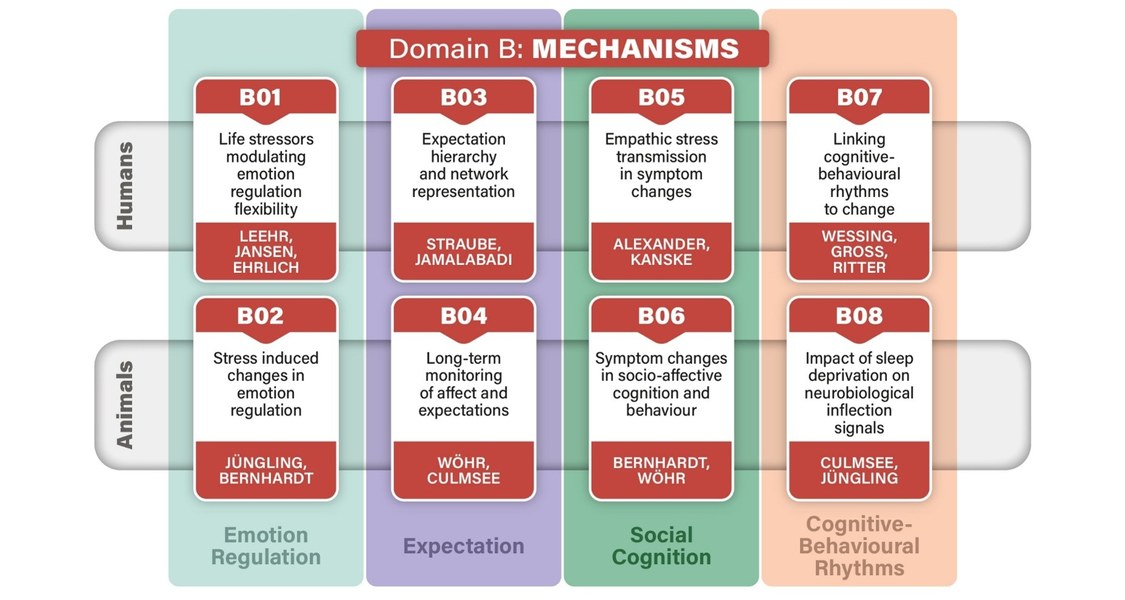 Die Abbildung zeigt die Teilprojekte inkl. Titel und PIs der Projekte in Bereich B - Mechanismen.
