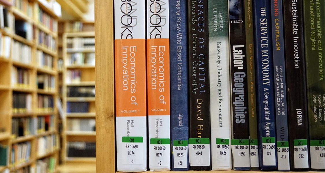 Auf RVK umgearbeiteter Bestand der Bibliothek Geographie