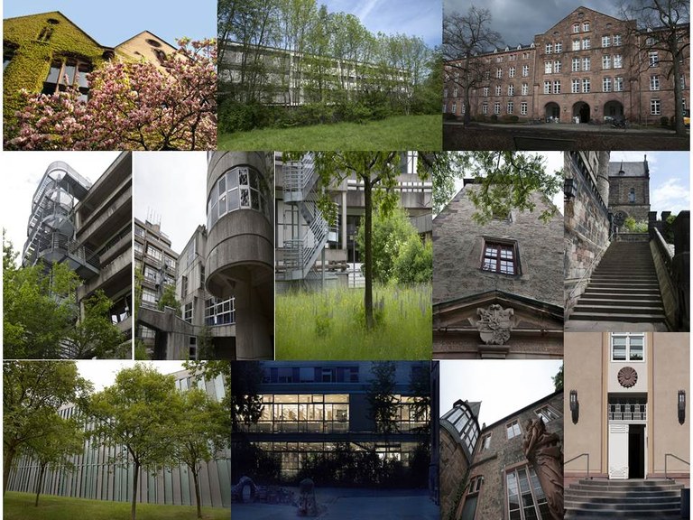 Collage der Berteichsbibliotheken