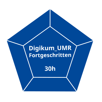 Grafik Digikum_UMR_Fortgeschritten
