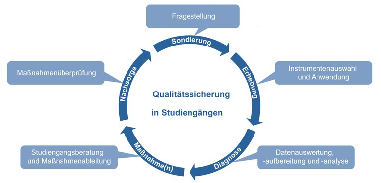 Qualitätskreislauf der Qualitätssicherung in Studiengängen mit Beschreibungen der fünf Phasen.