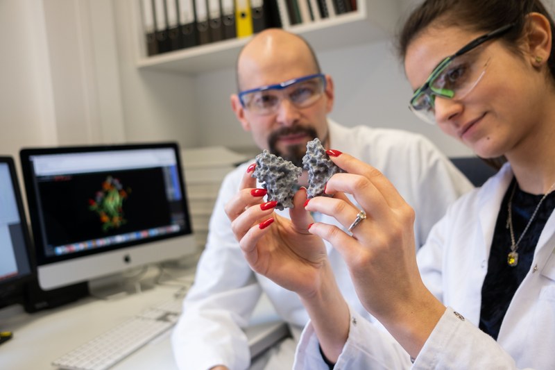 Eine Wissenschaftlerin zeigt einem Wissenschaftler ein Molekülmodell