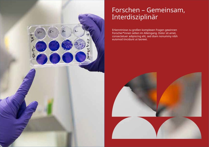 Beispiel Innenseiten, Beschreibung nach der Grafik. Klick öffnet vergrößerte Ansicht