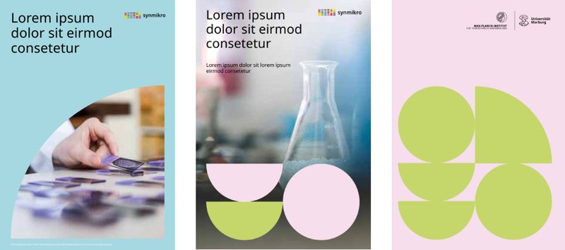 Beispiele für Titel- und Rückseiten. Beschreibung nach der Grafik. Klick öffnet vergrößerte Ansicht