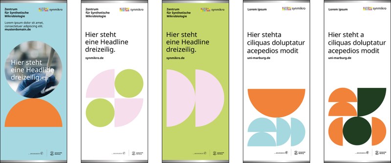 Beispiele für Roll-ups Markenstufe 4. Beschreibung nach der Grafik. Klick öffnet vergrößerte Ansicht