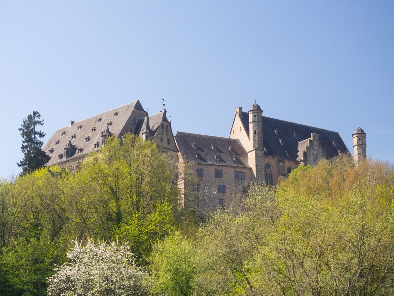 Landgrafenschloss hinter frühlings-grünen Bäumen