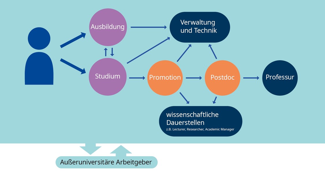Die Infografik "Karriereoptionen an der Philipps-Universität Marburg" ist im Stil eines Entscheidungsbaums gehalten. Sie zeigt die vielfältigen Karriereoptionen an der Universität Marburg. Ausgehend von einem Personen-Icon führen Pfeile auf jeweils zwei Hauptpfade: ein Pfeil zu einem Kreiselement mit dem Begriff „Ausbildung“ und einer auf den Kreis mit dem Begriff „Studium“. Von dem „Ausbildungskreis“ kann man den Karriereweg Richtung „Studium“ oder in die „Verwaltung und Technik“ nehmen. Vom Kreis „Studium“ aus, kann man den Weg Richtung „Ausbildung“, „Verwaltung und Technik“ oder „Promotion“ nehmen. Vom Kreis „Promotion“ aus kann man in die „Verwaltung und Technik“, eine Post-Doc-Stelle antreten oder eine wissenschaftliche Dauerstelle wie z.B. Lecturer, Researcher oder Academic ManagerIn antreten. Auch als Postdoc kann man noch in die Verwaltung und Technik wechseln oder eine wissenschaftliche Dauerstelle antreten. Als Postdoc ist es zudem möglich, für eine Professur berufen zu werden.
Es ist von allen Positionen aus möglich, zu einem außeruniversitären Arbeitgeber zu wechseln.