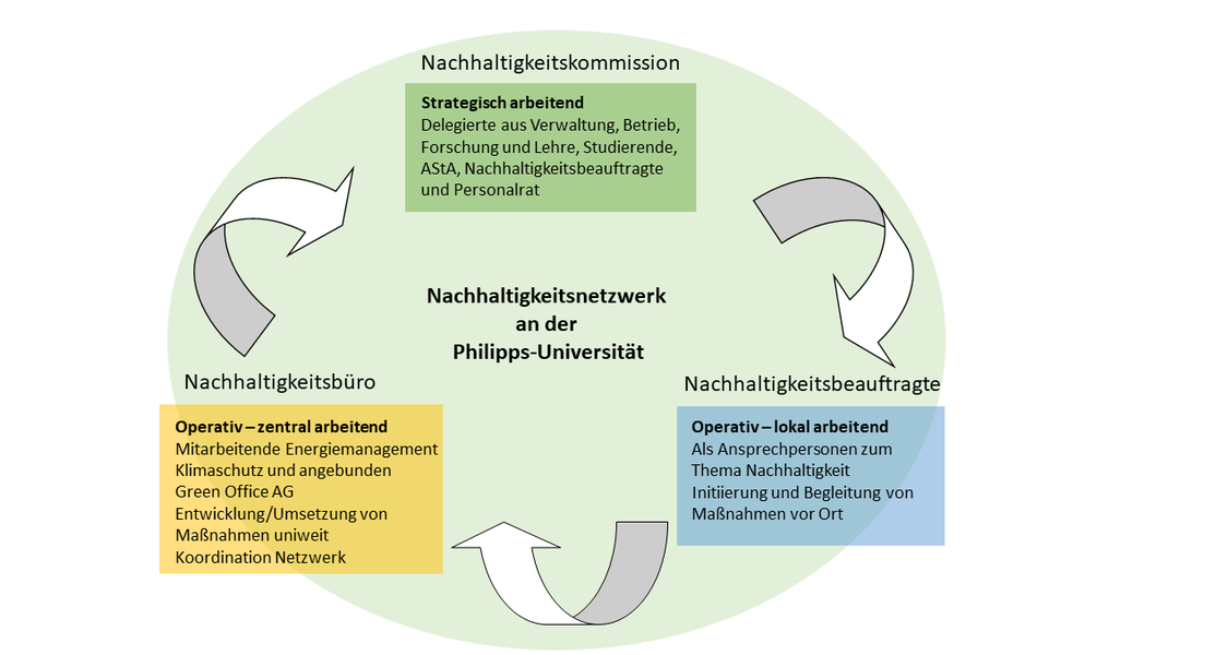 Organigramm Nachhaltigkeit an der Universitaet
Das Thema Nachhaltigkeit an der Philipps-Universitaet kann in drei Themengebiete untergliedert werden: Oekologie, Oekonomie und Soziales. Die Verantwortlichkeit unterliegt der/dem Kanzler*in. Diese/r dient auch als Themenspender.
Die organisatorische Umsetzungsstruktur untergliedert sich in drei Teile.
Die Nachhaltigkeitskommission soll strategisch wirken. Sie wird durch die Hochschulleitung einberufen und mit Delegierten besetzt. Diese stammen aus Verwaltung, Betrieb, Forschung und Lehre, Studierenden und Nachhaltigkeitsbeauftragten. Aufgabe ist die Erstellung eines Nachhaltigkeitsberichts als jaehrliche Validierung nach Bearbeitung des Nachhaltigkeitskodex als Bestandsaufnahme. Zu dem Arbeitsbereich zaehlt auch die Aufstellung eines hochschulspezifischen Kriterienkatalogs, sowie die Verfassung von Stellungnahmen und Empfehlungen. Ziel ist die Entwicklung einer Nachhaltigkeitsstrategie 2023.
Das Nachhaltigkeitsbuero ist das operativ-zentrale Glied der Struktur. Es ist Teil der Universitaetsverwaltung. Das Green Office ist organisatorisch an das Buero angegliedert. Im Nachhaltigkeitsbuero finden Mitarbeitende aus dem Bereich Energiemanagement und Klimaschutz und dem Green Office zusammen. Hier sollen Berichte zum Thema Energie und CO2-Emission erstellt werden und ein Energiecontrolling/-effizienzplanung stattfinden. Darueber hinaus sollen Konzepte zur Einbeziehung von Mitarbeitenden und Studierenden sowie Stellungnahmen und Empfehlungen fuer Maßnahmen entwickelt werden. Zu den Aufgaben gehoert auch die Mitarbeit und Koordination der Nachhaltigkeitskommission und des Uni-Nachhaltigkeitsnetzwerks. 
Als operativ-lokales Glied werden die Nachhaltigkeitsbeauftragten eingesetzt. Diese werden durch die Hochschulleitung einberufen und sind Delegierte aus den Fachbereiche. Sie dienen als Kontaktpersonen in den Fachbereichen und als Anlaufstelle fuer Mitarbeitende und Studierende zum Thema Nachhaltigkeit. Des Weiteren sollen sie Informationskampagnen umsetzen und das Uni-Nachhaltigkeitsnetzwerk als aktiver Teil begleiten.