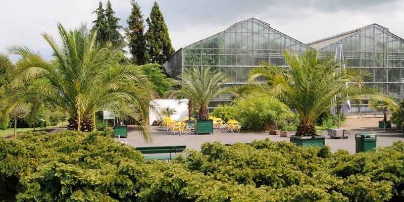 Gewächshaus im Botanischen Garten Marburg