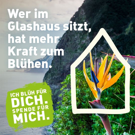 Wer im Glashaus sitzt, hat mehr Kraft zum Blühen. Ich blüh für dich. Spende für mich. Klick auf das Bild verlinkt zu https://www.uni-marburg.de/de/botgart/neuer-garten/spendenkampagne